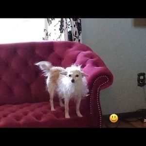 Meet your Posher, Debra